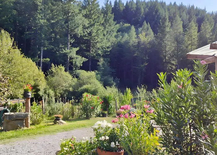 Holiday home De La Rode Saumane